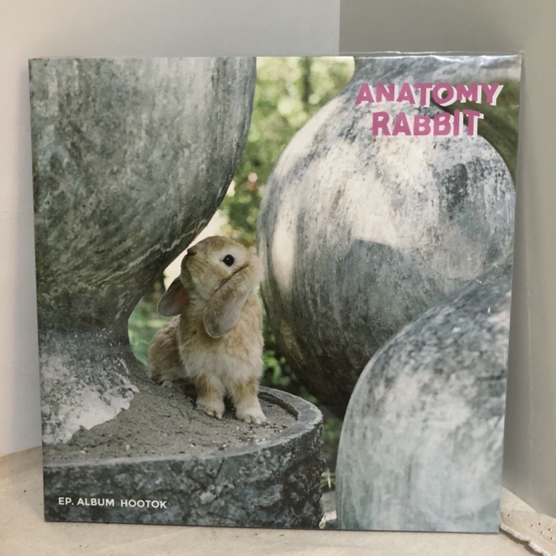 แผ่นเสียง Anatomy Rabbit อัลบั้มหูตก มือหนึ่ง!!