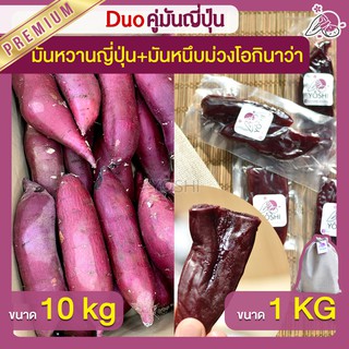 แพ็คคู่ถูกกว่า มันหวานญี่ปุ่น เบนิฮารุกะ 10kg + มันหนึบม่วง 1kg  มันหวานญี่ปุ่นนำเข้า มันหนึบ โอกินาว่า