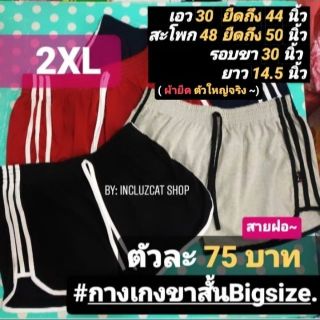 (Update: 14/07 พร้อมส่ง)  กางเกงขาสั้นสายฝอ Bigsize XXL  กางเกงขาสายฝอคนอ้วน ทรงสปอต3แถบ  ผ้ายืด  (ตะกร้าใหม่ สีเพียบ)