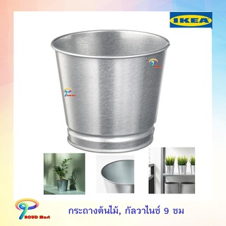 IKEA กระถางต้นไม้, กัลวาไนซ์, 9 ซม. BINTJE บีนเช