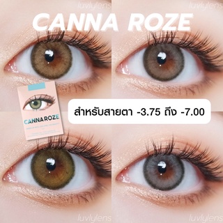 พร้อมส่ง Canna Roze - Idollens (สายตา -3.75 ถึง -7.00) คอนแทคเลนส์รายปี คอนแทคเลนส์เกาหลี