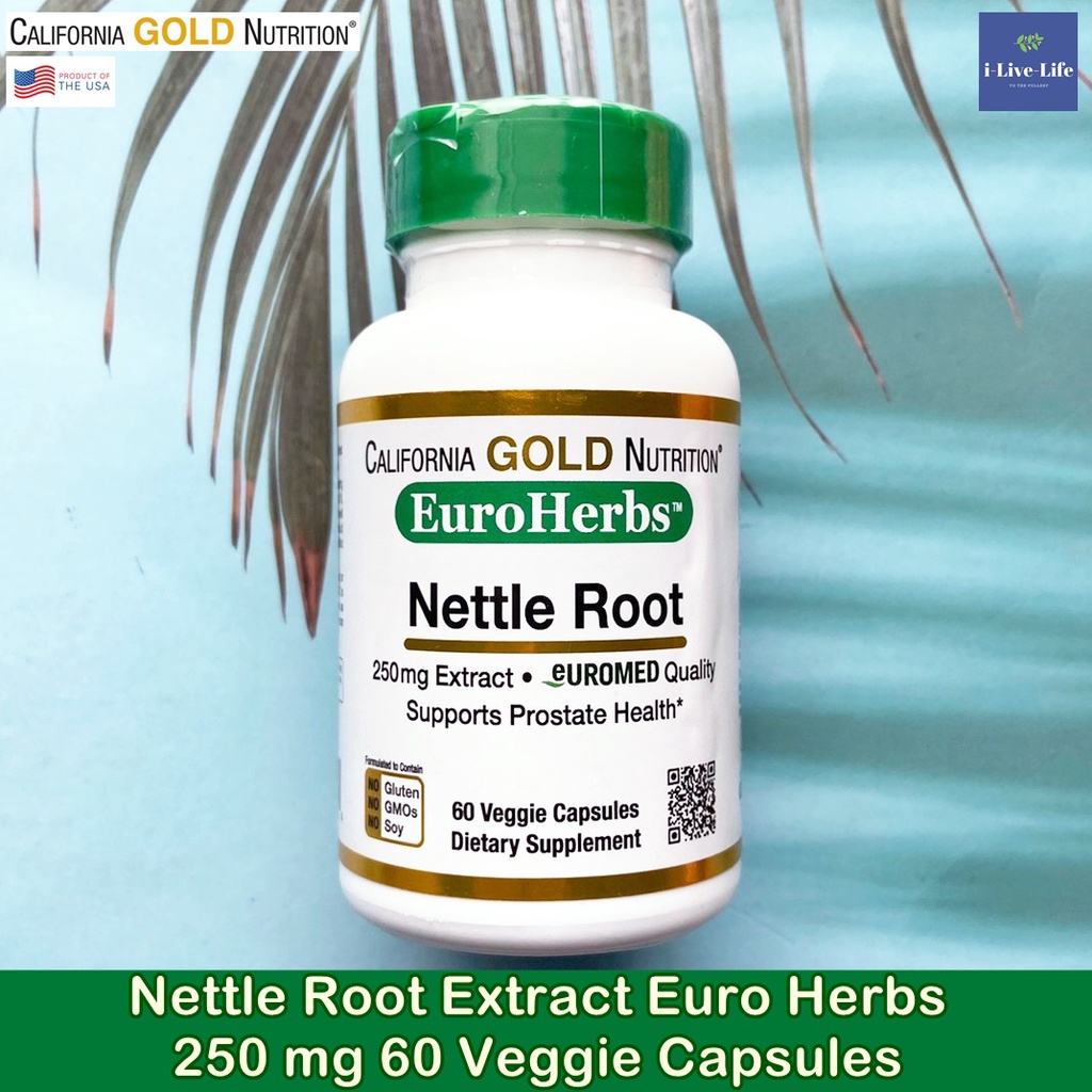 สารสกัดจากรากตำแย Nettle Root Extract Euro Herbs 250 mg 60 Veggie Capsules รากเน็ทเทิ่ลสกัด