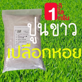 ใช้โค้ดลดเพิ่ม5บาททันที(NATT45655)ปูนขาวเปลือกหอย 1กก.ปรับสภาพดิน ฆ่าเชื้อโรค แก้ใบเหลือง ใบหงิกเผาแล้วบดละเอียด100%