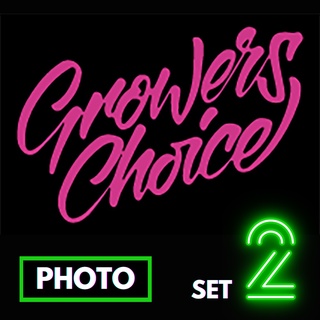 🔥Preorder🔥เมล็ดค่าย🌱Growerchoice🌱Photo⭐️ส่งฟรี🚨มีปลายทาง ส่งตรงจากนอกแท้100%⭐️ยกแพค/แยกเมล็ด⭐️อย่าเสี่ยงกับเมล็ดไม่มีที่มา#2