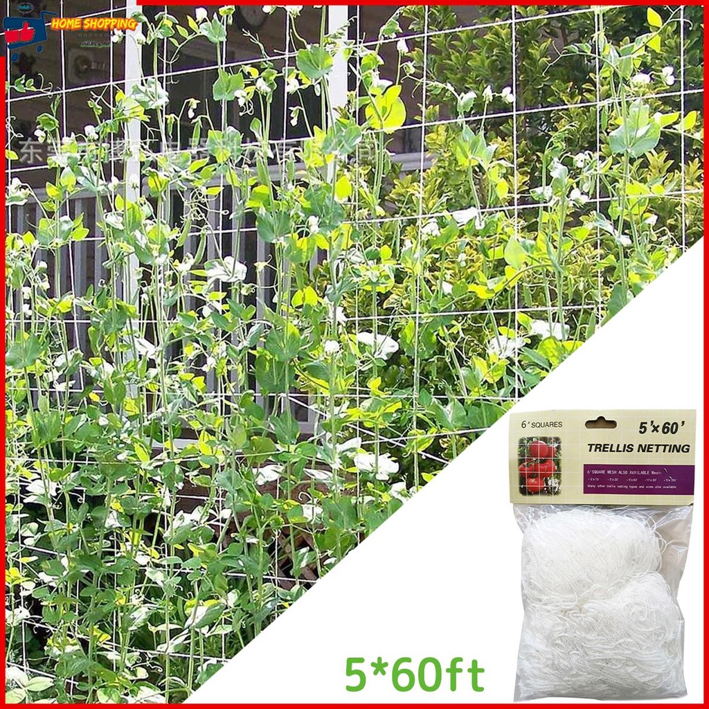 ตาข่ายโพลีเอสเตอร์ ทรงสี่เหลี่ยม สําหรับปลูกต้นไม้ SHOPTKC4573