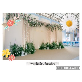 พรมอัดเรียบ สีเบจอ่อน(ครีม) กว้าง 1.5 ม.ยาว 25 ม.หนา 2.0-2.3 มม  พรมจัดงาน พรมงานแต่ง งานหมั้น ปูหน้าแบล็คดรอป