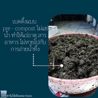 เบดดิ้งเลี้ยงไส้เดือน ปุ๋ยหมัก ขี้วัวนมหมัก ปุ๋ยคอกหมัก ปุ๋ยขี้วัวนม ที่อยู่ไส้เดือน