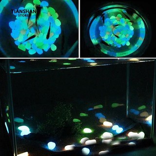 10Pcs Fish Tank Garden Parterre Decor เรืองแสงในหินอัคพฤกษ์ Fluorescent Pebble Stones