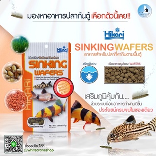 “Hikari Sinking Wafers ” อาหารสำหรับกลุ่มปลาแคทฟิช ปลาหมู และปลาที่หากินตามพื้นตู้