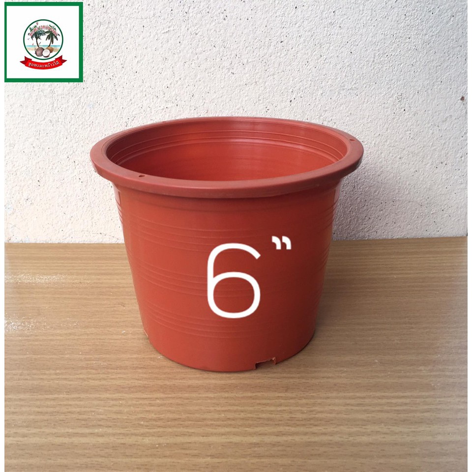 กระถางต้นไม้สีส้ม/กระถางต้นไม้พลาสติกสีส้ม/Orange flower pot/Plant pot  6 inch