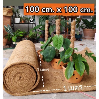 ของพร้อมส่ง🔥✅โครตฮิต✅🔥กากใยมะพร้าวอัดแผ่น 100 x 100 cm. หนา 1 cm.