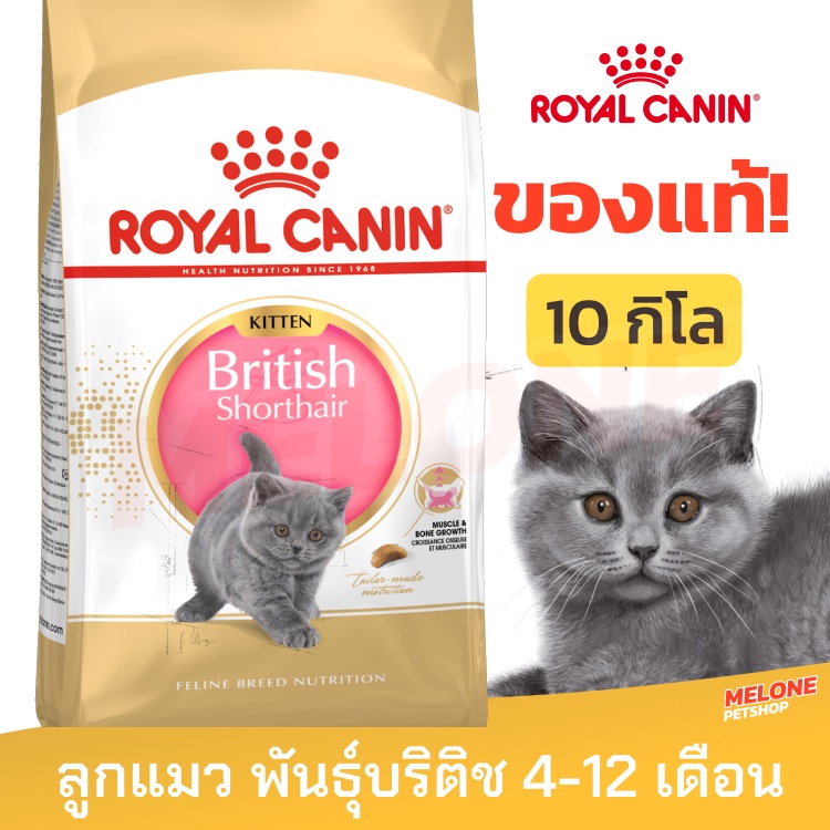 Royal Canin British Kitten รอยัลคานิน อาหารลูกแมว พันธุ์ บริติช ชอร์ตแฮร์ ลูกแมว อายุ 4-12 เดือน 10kg