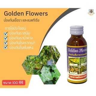 Golden Flower ป้องกันเชื้อรา และแบคทีเรีย 100 cc