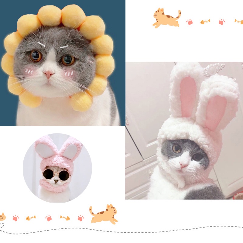 😺หมวกสัตว์เลี้ยง😺หมวกแมว หมวกหมา หมวกการ์ตูน เสื้อผ้าสัตว์เลี้ยง - รูปที่ 3