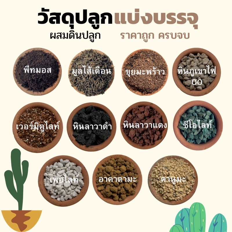 วัสดุปลูก ดินปลูก หินภูเขาไฟ หินลาวาดำ ลาวาแดง ดินญี่ปุ่น อาคาดามะ คานูมะ เพอไลท์ เวอมิคูไลท์ พีทมอส ซีโอไลท์ ก้ามปู