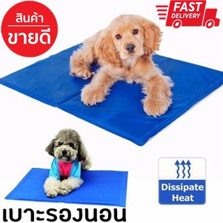 Pet cool mat เบาะรองที่นอนเจลเย็นหมา แผ่นเจลรองนอนหมา-แมว แผ่นเจลเย็นลดความร้อนน้องหมา SizeM 40cm X 50cm
