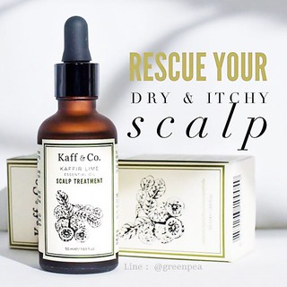 Kaff&amp;Co. เซรั่ม ปลูกผม รักษาผมร่วง ทรีตเมนท์มะกรูดสกัดเย็น จากธรรมชาติ   /Scalp Treatment Kaffir Lime Essential Oil