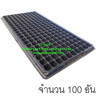 papamami Nursery Tray Korea ถาดเพาะชำเกาหลี 200หลุม (100ถาด)