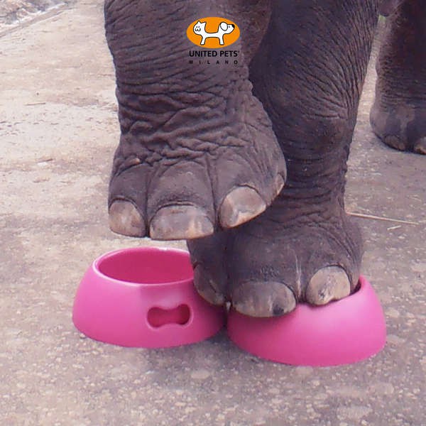 ❤ ชามอาหารแมว ❤ ♙Italy imported United Pets anti-falling stepping not bad pet dog bowl non-slip cat 