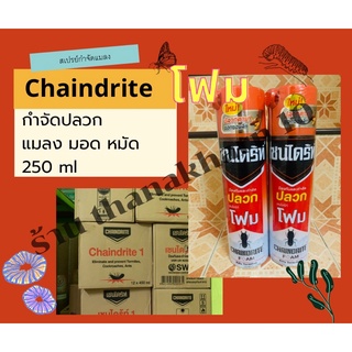 เชนไดรท์ FOAM โฟม chaindrite 450 ml กำจัดปลวก