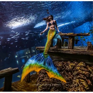 หางนางเงือกสั่งตัด รุ่น Sea Dragon