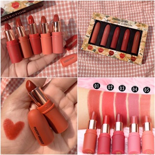 Sale‼️(Set A) New! 5 x LIPSTICK COLLECTION HF 398 💄💄