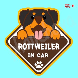 DIC33 สติ๊กเกอร์ ติดรถ Rottweiler Dog In Car สติ๊กเกอร์ติดรถ แต่งรถ car sticker