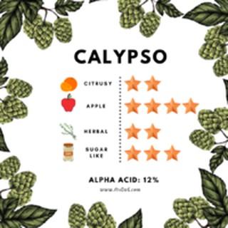 Calypso Hops (1oz) (บรรจุด้วยระบบสูญญากาศ)