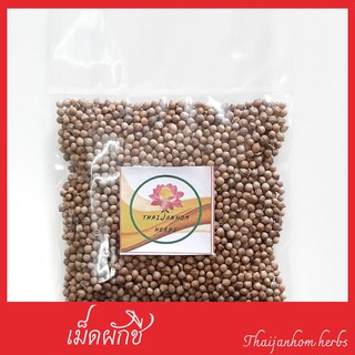 เม็ดผักชี ลูกผักชี ผักชี coriander seeds