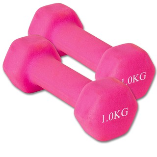 ราคาดัมเบล Dumbbells 1 Kg 1คู่ สำหรับลดไขมันต้นแขน ออกกำลังกาย ฟิตเนส