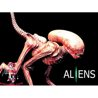 เอเลี่ยน ทะลุอกสุนัข Alien Xenomorph Dog Burster 1/1 ไวนิล โมเดล ฟิกเกอร์ Vinyl model Figure