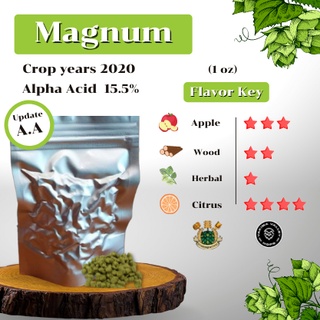 Magnum Hops (1oz) Crop years 2020 (บรรจุด้วยระบบสูญญากาศ)