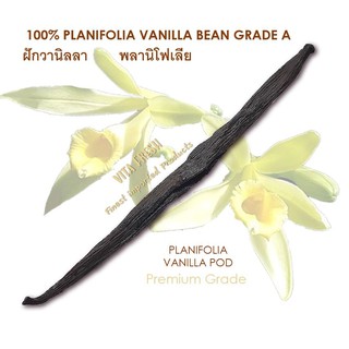 PLANIFOLIA VANILLA POD GRADE A / VANILLA BEAN 1 POD ฝักวานิลลา พลานิโฟเลีย 1 ฝัก วานิลลา Premium A