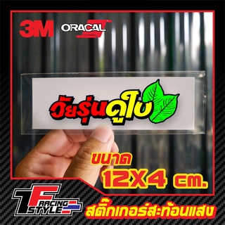 🔥จ่าย0฿ โค้ด INC3LEL3🔥สติ๊กเกอร์ วัยรุ่นดูใบ สะท้อนแสง 3Mแท้ สติ๊กเกอร์ซิ่ง ติดรถมอเตอร์ไซค์