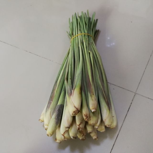 ตะไคร้ ใช้แกงได้ กก ละ 38 บาท