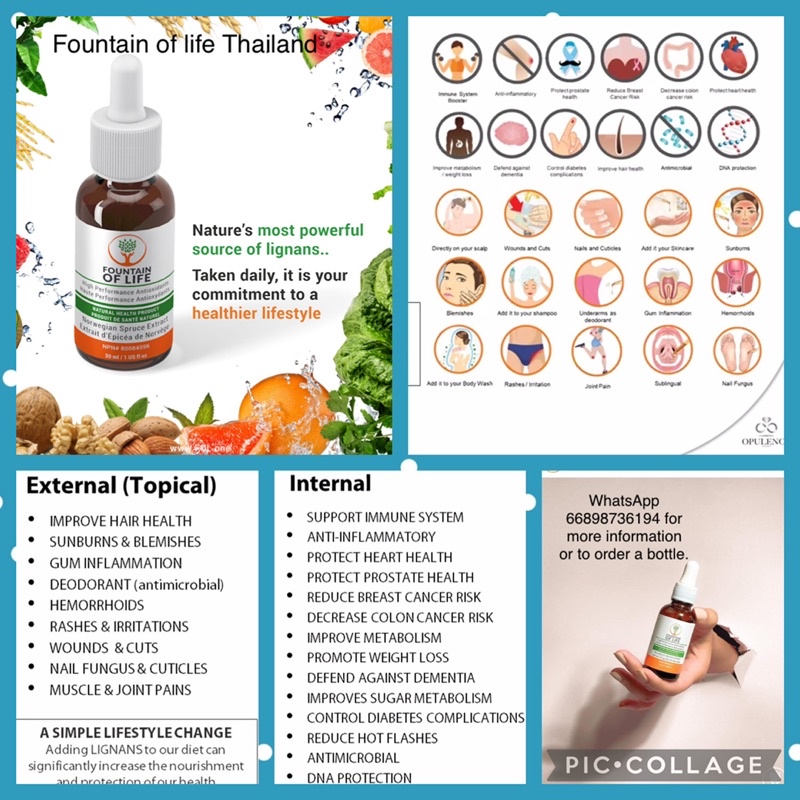 Fountain of Life Antioxidant