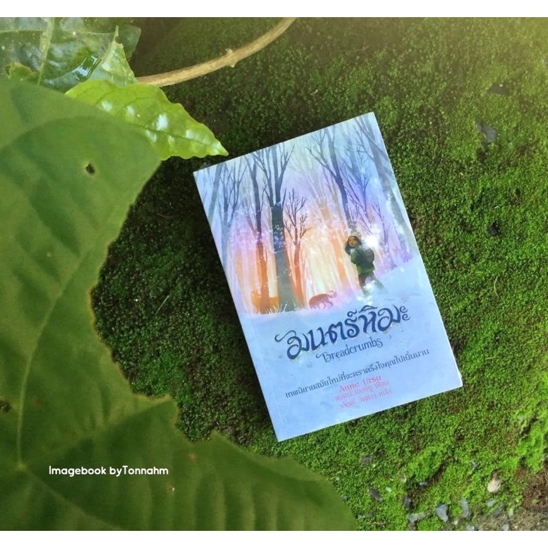 Breadcrumbs ถูกที่สุด พร้อมโปรโมชั่น ม.ค. 2022 BigGo เช็คราคาง่ายๆ