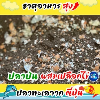 น้ำหมักปลาทะเล จากญี่ปุ่นผสมเปลือกไข่ ช่วยไล่แมลง