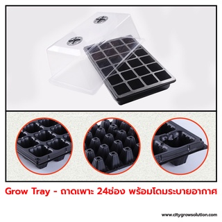 Grow Tray - กล่องเพาะ 24ช่อง พร้อมฝาปิดระบายอากาศ ถาดสำหรับเพาะเมล็ด ถาดเพาะชำ ถาดเพาะกล้า (Nursery Seedling)