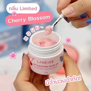 LANEIGE Lip Sleeping Mask EX Limited [Cherry Blossom] 20 g. (สคบ.ไทย)