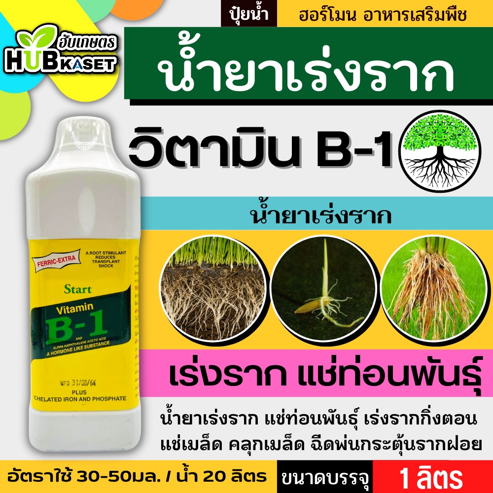 วิตามินB1 1ลิตร น้ำยาเร่งราก กระตุ้นราก กิ่งตอน กระตุ้นรากฝอย