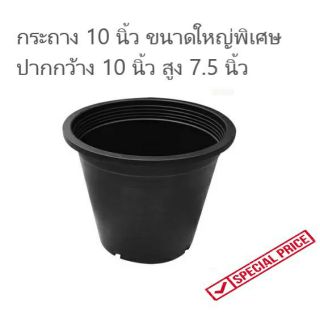 กระถางพลาสติก 10 นิ้ว  แพคละ 12 ใบ กระถางต้นไม้ ทำจากพลาสติกคุณภาพดี🎄🎄