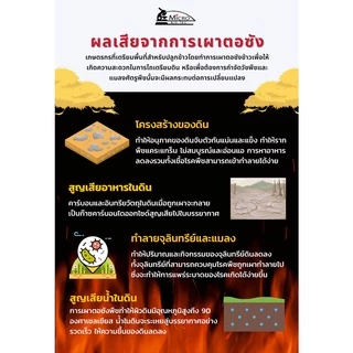 ไบโอนิค ซี1 (C1)* จุลินทรีย์ย่อยสลายตอซัง ฟาง กำจัดข้าวดีด ข้าวเด้ง หญ้านก หญ้าลิเก บำรุงดิน 100กรัม