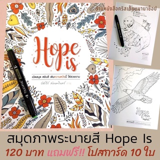 สมุดภาพระบายสี Hope Is หนังสือคริสเตียน โปสการ์ดคริสเตียน พระคำพระเจ้า สมุดระบายสี พระเจ้า พระเยซู  ข้อพระคัมภีร์