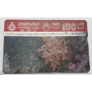 s169 ของสะสมบัตรเติมเงินมือถือ บัตรโทรศัพท์ใช้แล้ว ลายตามภาพ