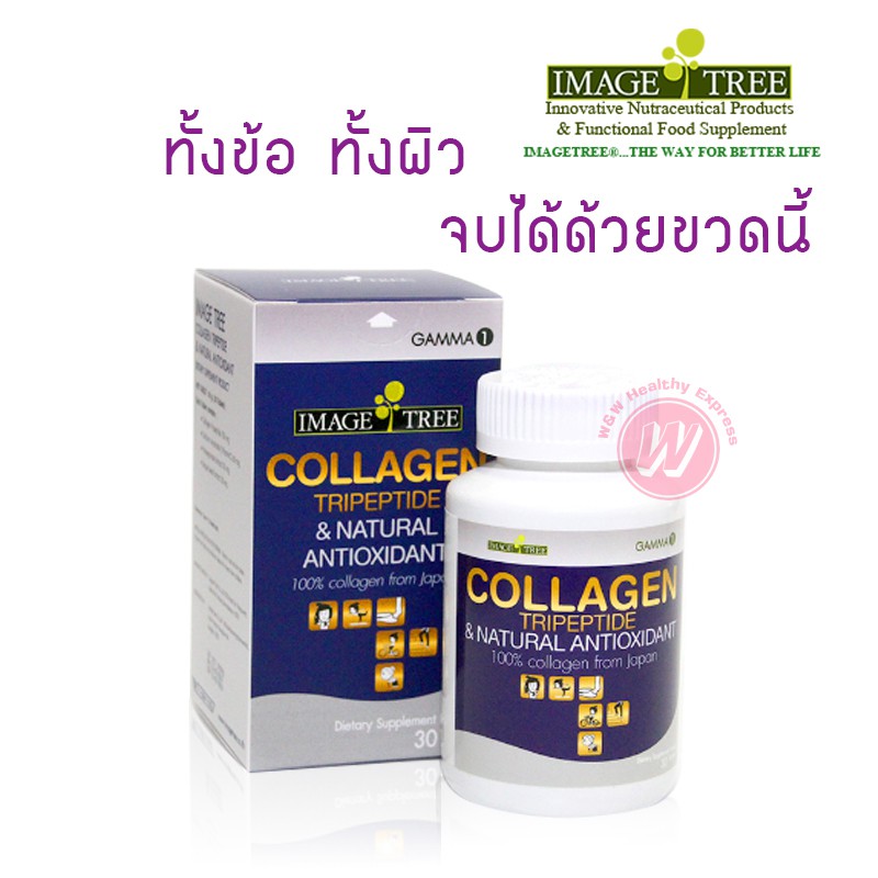 Image tree collagen tripeptide  คอลลาเจน คอลลาเจนไตรเปปไทด์ คอลลาเจนบำรุงผิว คอลลาเจนบำรุงข้อ ยาบำรุ