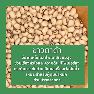 ถั่วขาว ตาดำ ไม่ผ่านการรมยาฆ่าแมลง 500 กรัม black-eyed bean, lobia, lobiya
