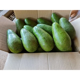อโวคาโด้เกรดA🥑🥑 สายพันธุ์034 บัคคาเนีย ปีเตอร์สัน พื้นเมือง 1 กิโลกรัม 💥💥ซื้อ 10 แถม 1 โล💥💥