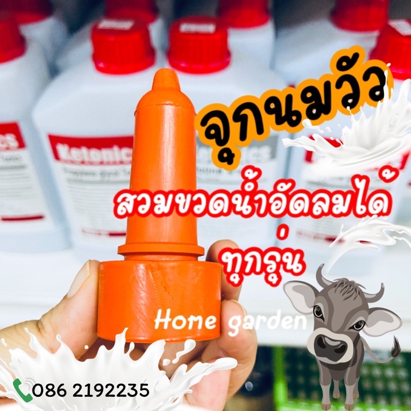 จุกนมวัวใช้สวมขวดน้ำอัดลมได้ทุกรุ่น
