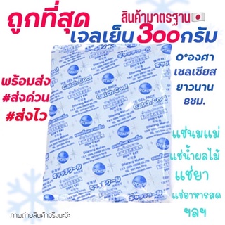 ถูกที่สุด‼️เจลเก็บความเย็น 300กรัม Ice Pack 300g อุณหภูมิ 0cํ แช่อาหาร แช่ของสด แช่น้ำนม เก็บรักษาอุณหภูมิ เก็บความเย็น